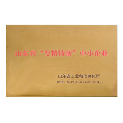 “SPECIALIZED SPECIAL  NEW  ENTERPRISE” HONOR OF SHANDOG PROVINCE