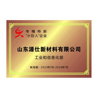 Accredited as China's Little Giant Company